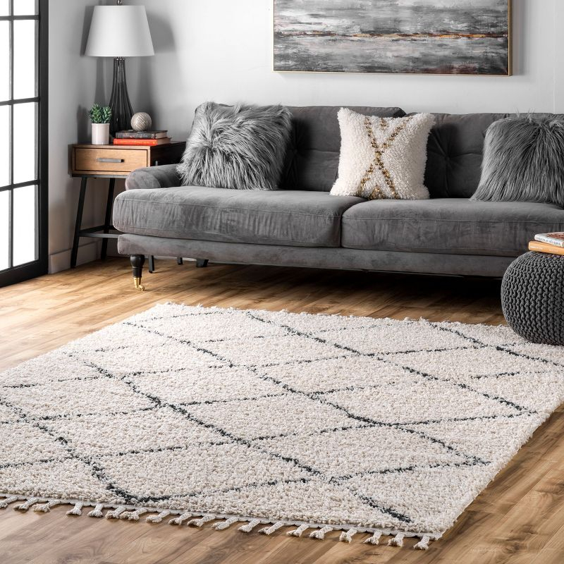 Nuloom Jessie Trellis 10x14 Indoor Area Rug for Living Room Bedroom Dining Room, Off White/Charcoal