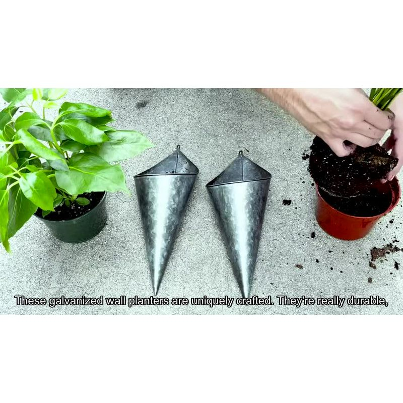 Hallops Galvanized Wall Planters 2 Cone Large