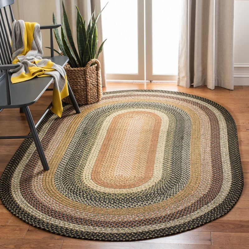 Braided BRD308 Hand Woven Area Rug - Multi - 4'x6' Oval - Safavieh.