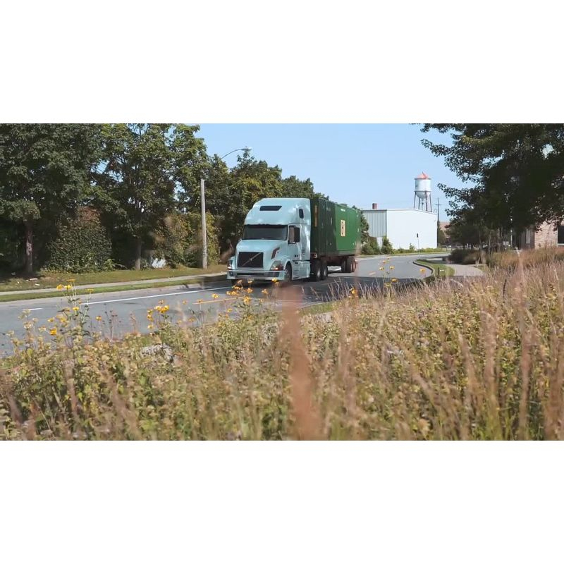 Peace Coffee Morning Glory Light Roast Whole Bean Coffee - 12oz