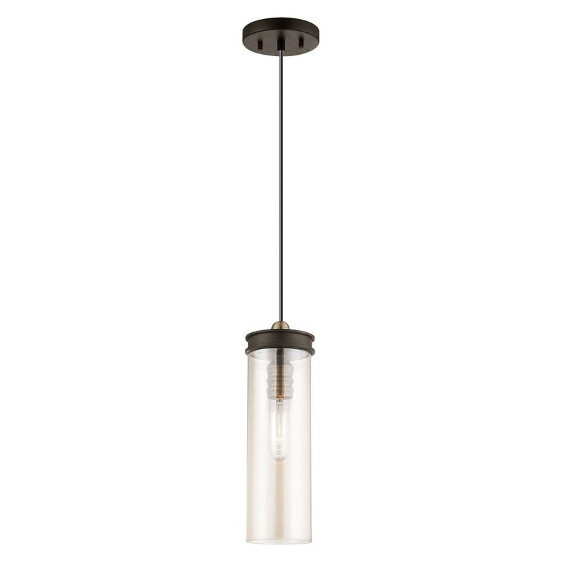 Livex Lighting Art Glass 1 - Light Pendant in  Bronze