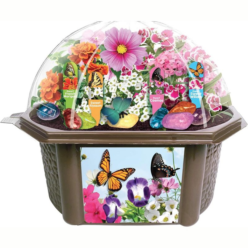 Toys By Nature: Butterfly Garden - DIY Terrarium Kit, Create Habitat