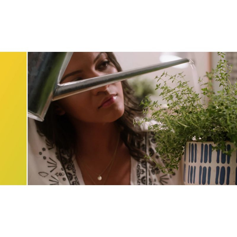 GE 2pk 60W A19 Light Bulb Soft White: LED, E26 Base, Dimmable, 800 Lumens, Energy Star Certified, 2700K, 13.7-Year Life