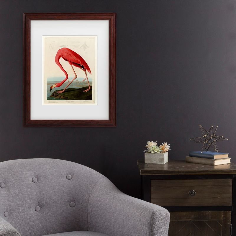 Trademark Fine Art -John James Audobon 'American Flamingo' Matted Framed Art - Brown - 22.75''x22.75''