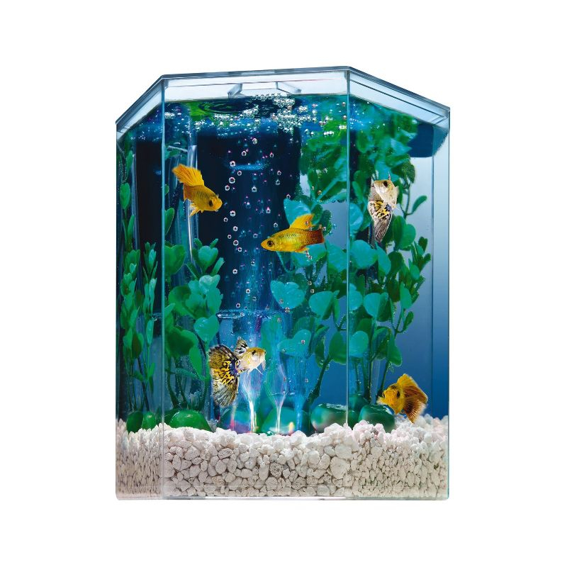 Tetra Bubbling LED Aquarium Kit 1gal Hexagon Shaped with Color-Changing Light Disc Aquarium Decor