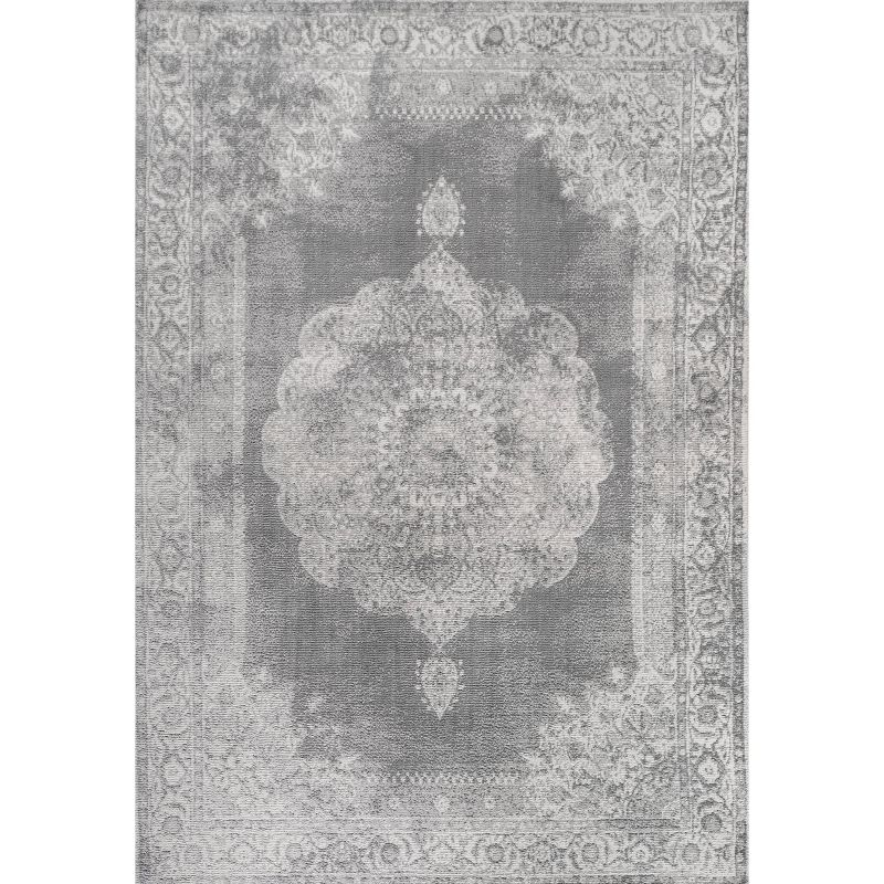 3'x5' Rosalia Cottage Medallion Area Rug, Gray/Dark Gray - JONATHAN Y