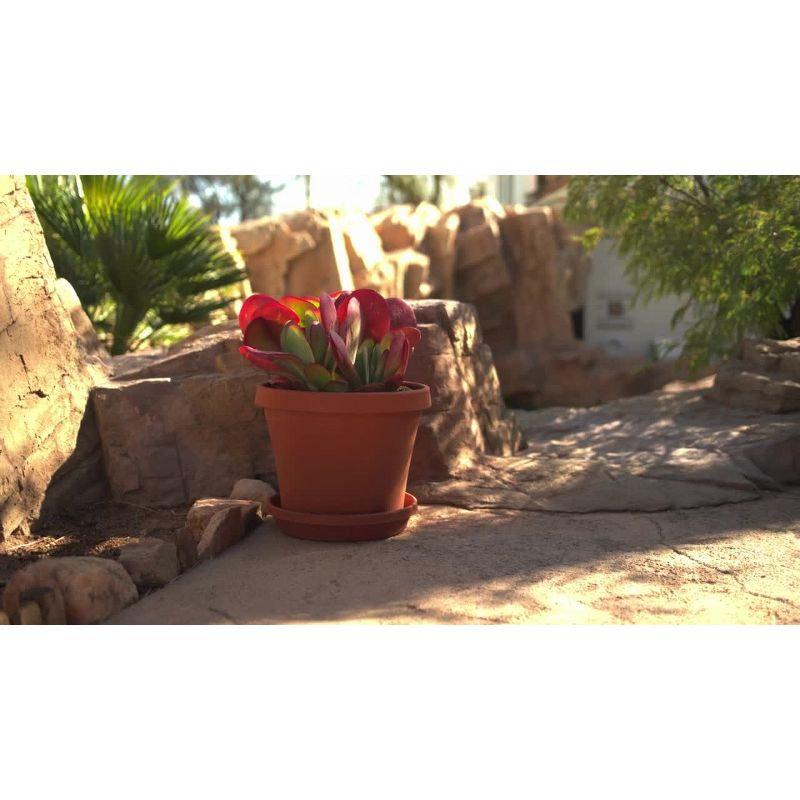 13.86" Plant Stand Caddy with Wheels and Saucer Tray Terracotta - Bloem