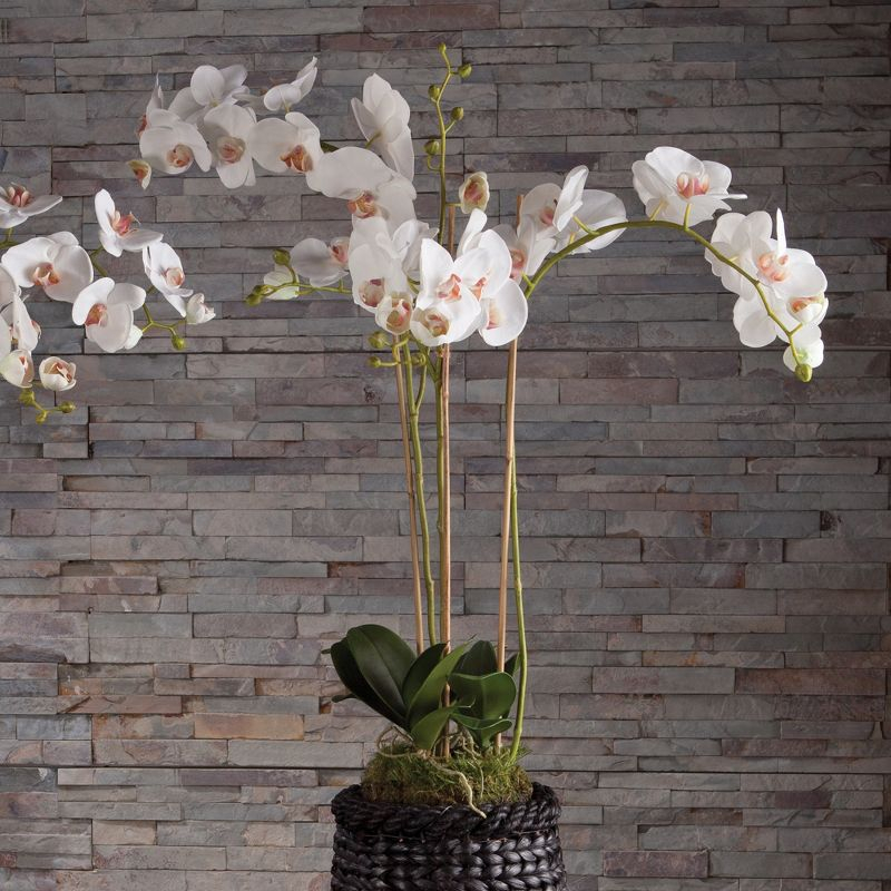 Plum & Post Phalaenopsis Orchid Faux (Fake) Drop-In 31"