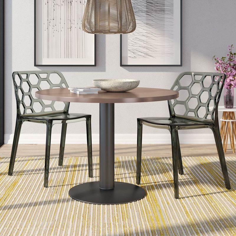 LeisureMod Dynamic Modern Plastic Dining Chair Set of 2 (Transparent Black)