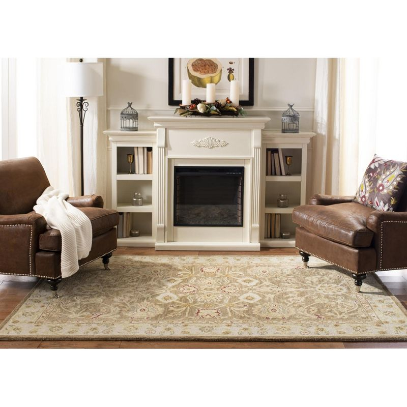 Anatolia AN522 Hand Tufted Indoor Area Rug - Tan/Ivory - 9'6"x13'6" - Safavieh