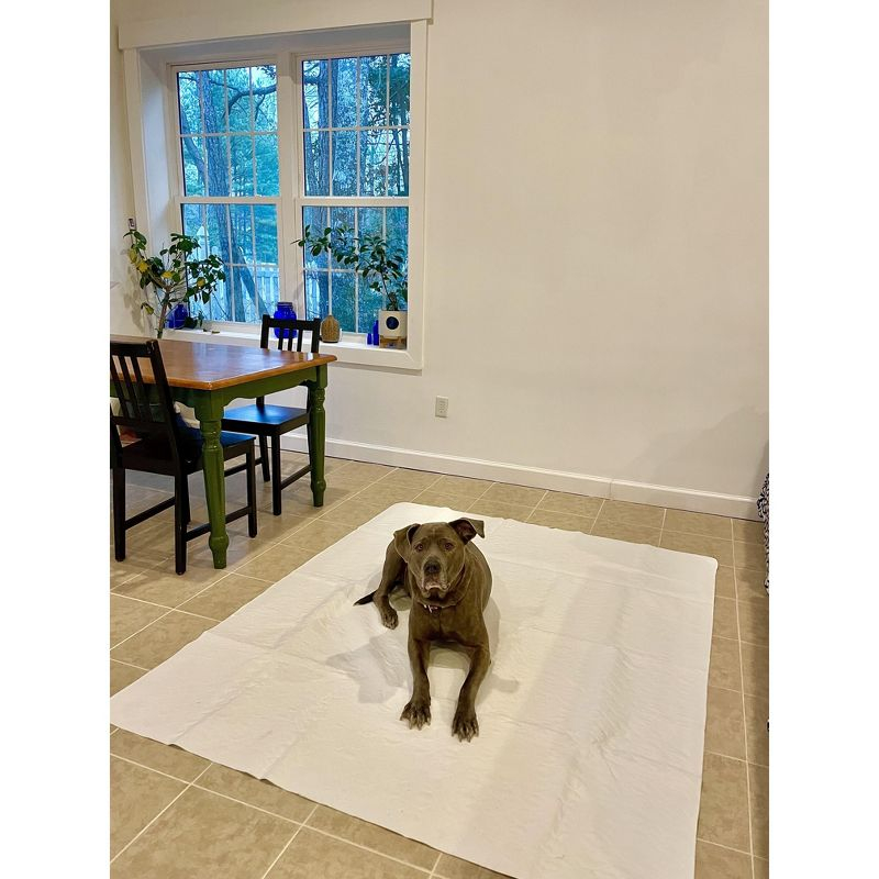 Midlee Washable Pee Pad for Dogs 60" x 72" Pack of 3