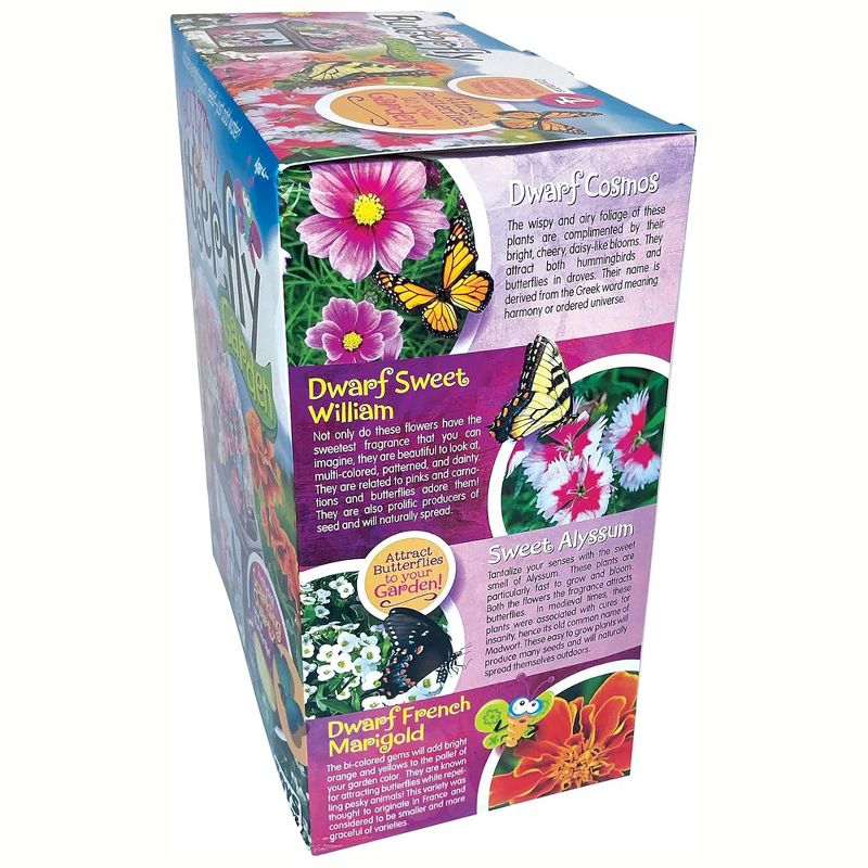 Toys By Nature: Butterfly Garden - DIY Terrarium Kit, Create Habitat