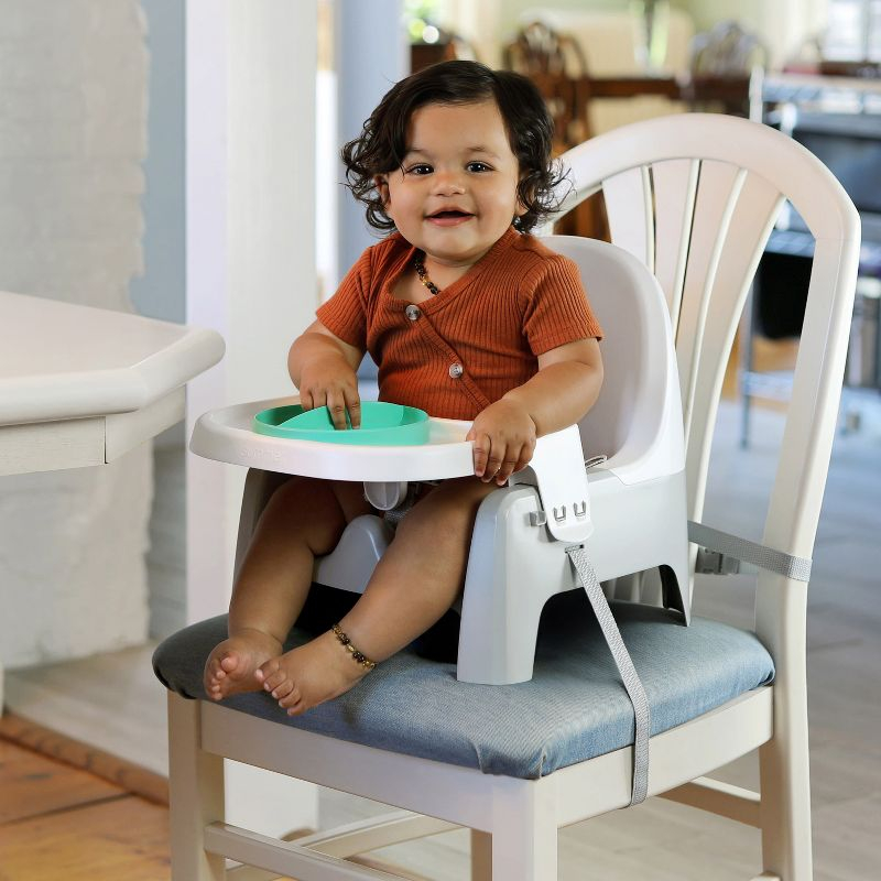 Summer Deluxe Learn-to-Dine Feeding Seat