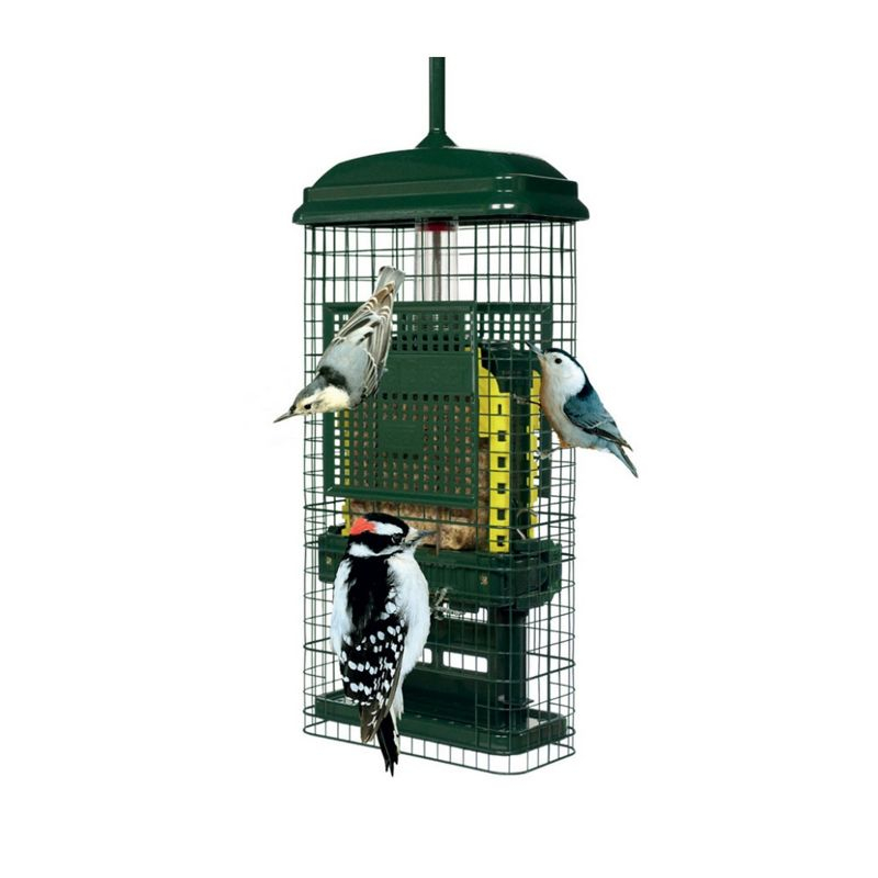 Brome Bird Care Squirrel Buster Truly Squirrel-Proof Suet Feeder (Green, 2-Pack)