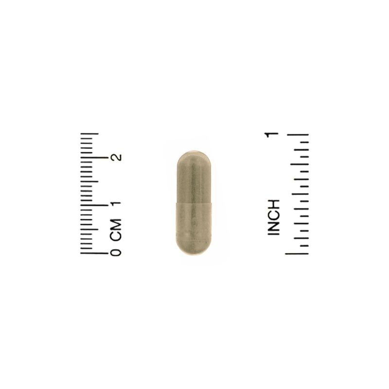 Organic India Liver Kidney, 90 Veg Caps