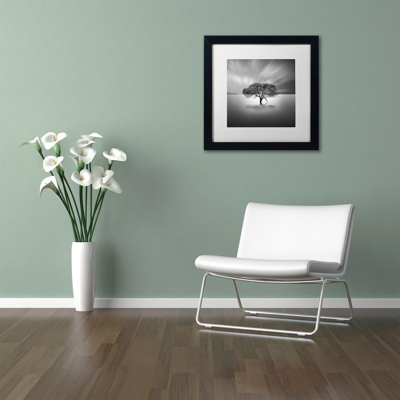 Trademark Fine Art - Moises Levy 'Water Tree VIII' Matted Framed Art