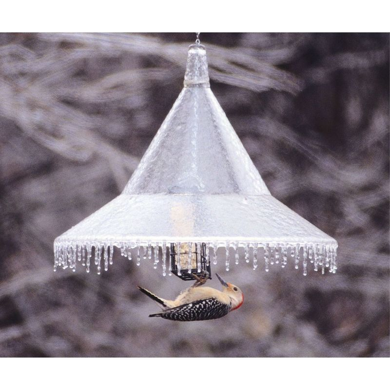 Arundale Products Plastic Mandarin Hanging Squirrel Baffle - 17"D x 12.5"H