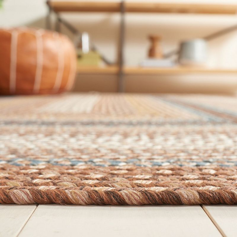 Braided BRD313 Hand Woven Accent Rug - Brown/Multi - 3'x5' Oval - Safavieh.