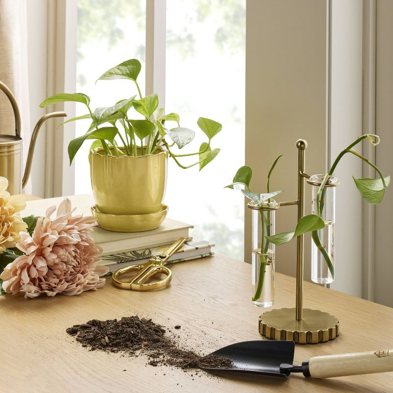 3pc Test Tube Brass Industrial Glass Vase - Hearth & Hand™ with Magnolia