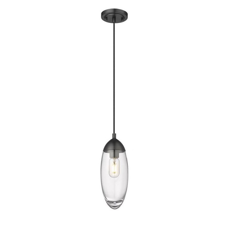 Z-Lite Arden 1 - Light Pendant in  Matte Black