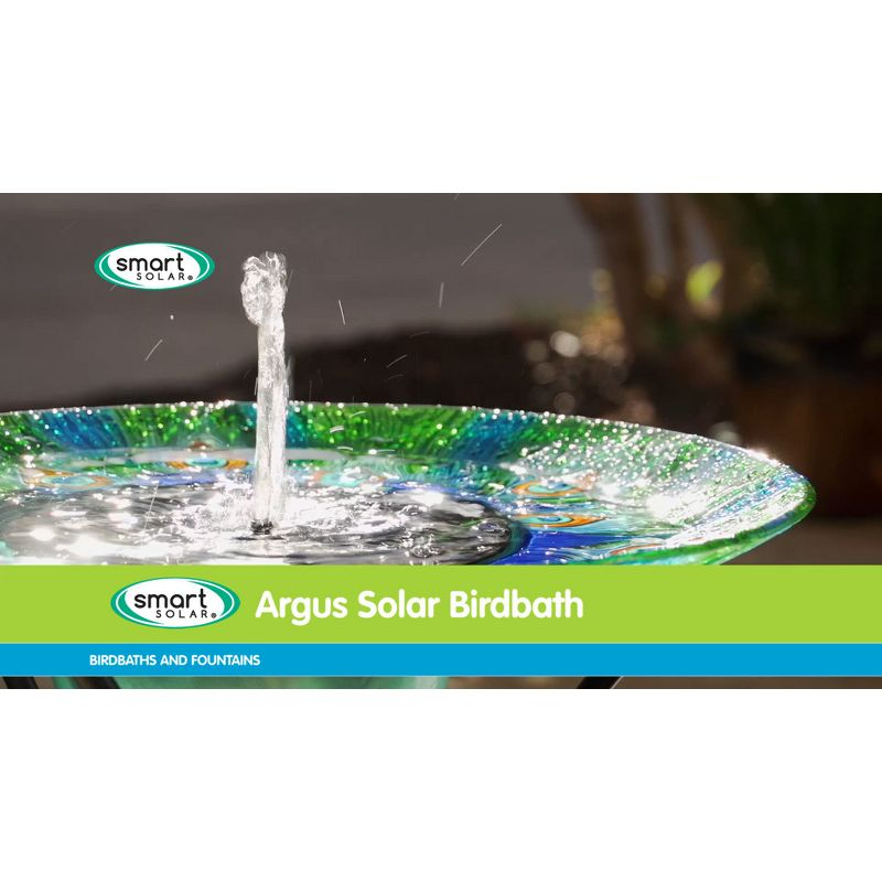 Smart Solar 24.3 " Argus Peacock Glass Solar Bird Bath
