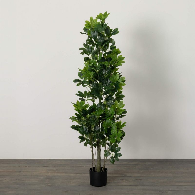 Sullivans Artificial Potted Schefflera Plant 62"H; Green
