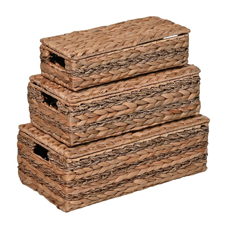happimess Sandrine Classic Farmhouse Handwoven Hyacinth Storage Baskets with Handles and Lids, Natural (Set of 3)