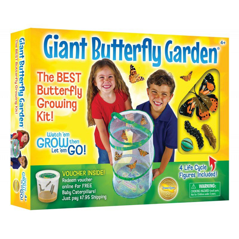 Insect Lore Giant Butterfly Garden® Deluxe Growing Kit - Stem Butterfly Kit w/ Live Caterpillars