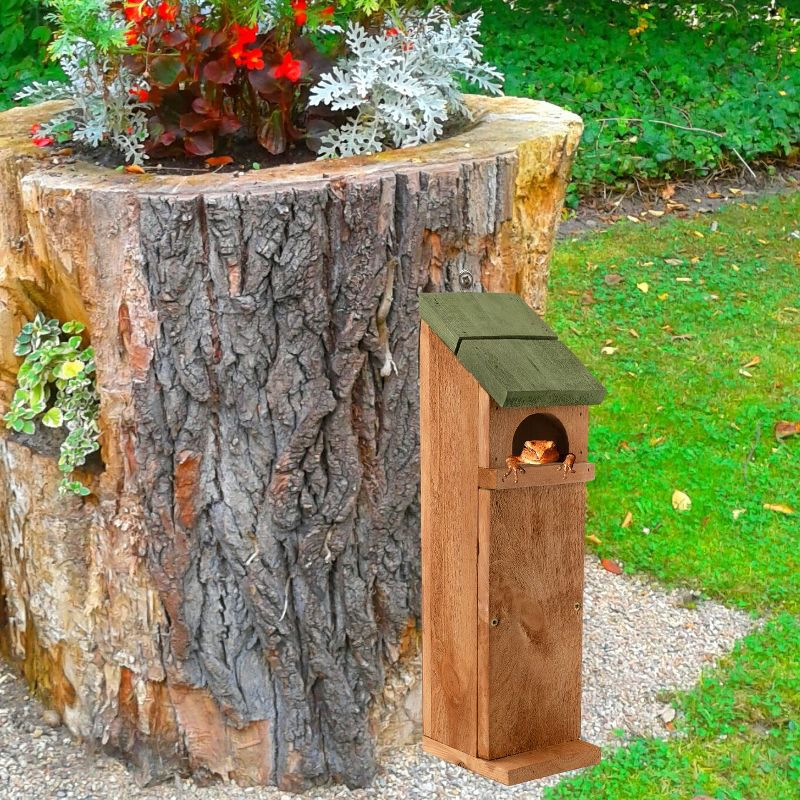 Uncle Dunkels Tree Frog House, Outdoor Tree Frog Habitat, Handmade in the USA