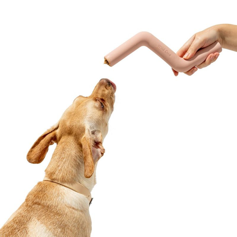 Wild One Bolt Bite Chew & Treat Interactive Dog Toy - Pink