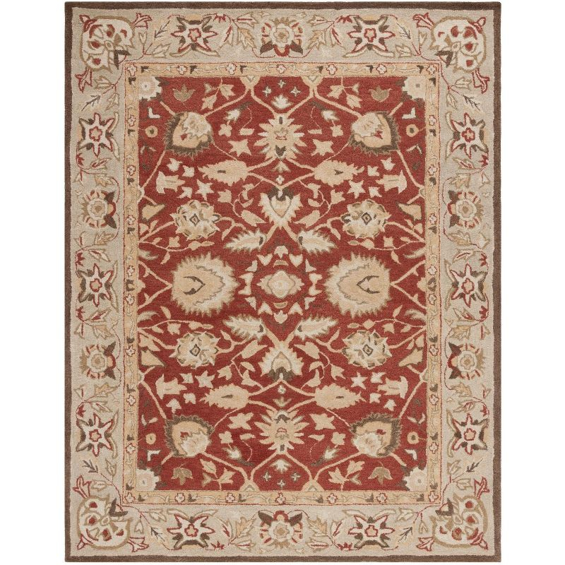 Anatolia AN512 Hand Tufted Indoor Area Rug - Rust/Green - 9'x12' - Safavieh
