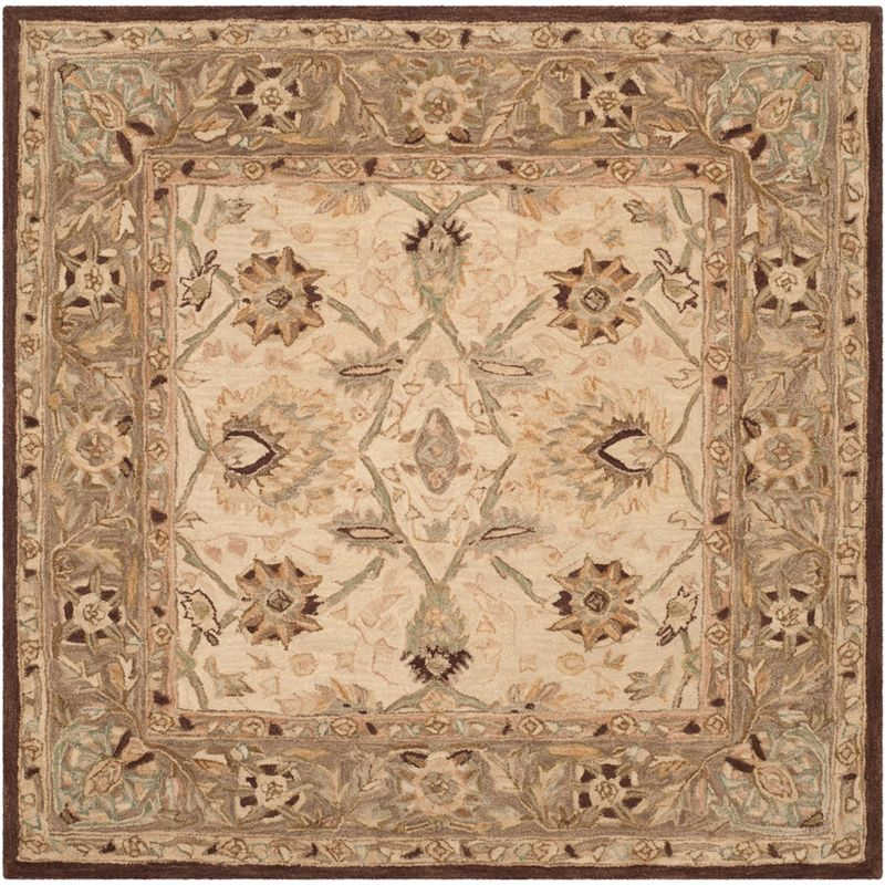 Anatolia AN512 Hand Tufted Indoor Area Rug - Ivory/Brown - 8'x8' - Safavieh
