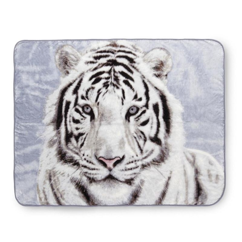 Shavel Home Products High Pile Oversized 60x80 Luxury Throw
