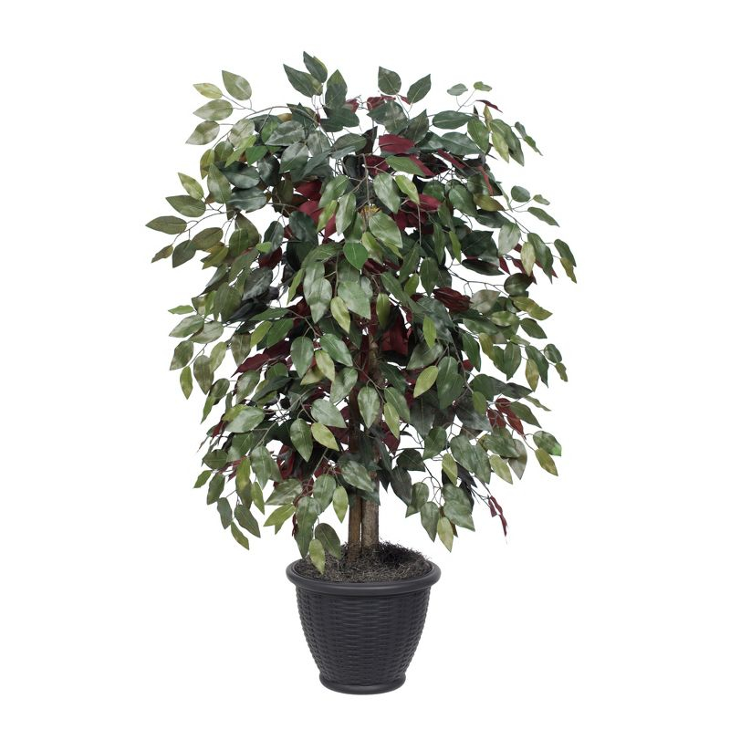 Vickerman 4' Artificial Capensia Bush, Gray Round Plastic Container. In a 12"Lx12"Wx9"H base.