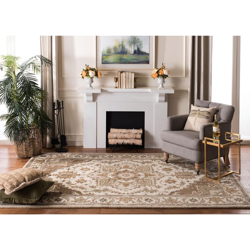 Royalty ROY700 Hand Tufted Indoor Accent Rug - 4'x6' - Beige/Sage - Safavieh