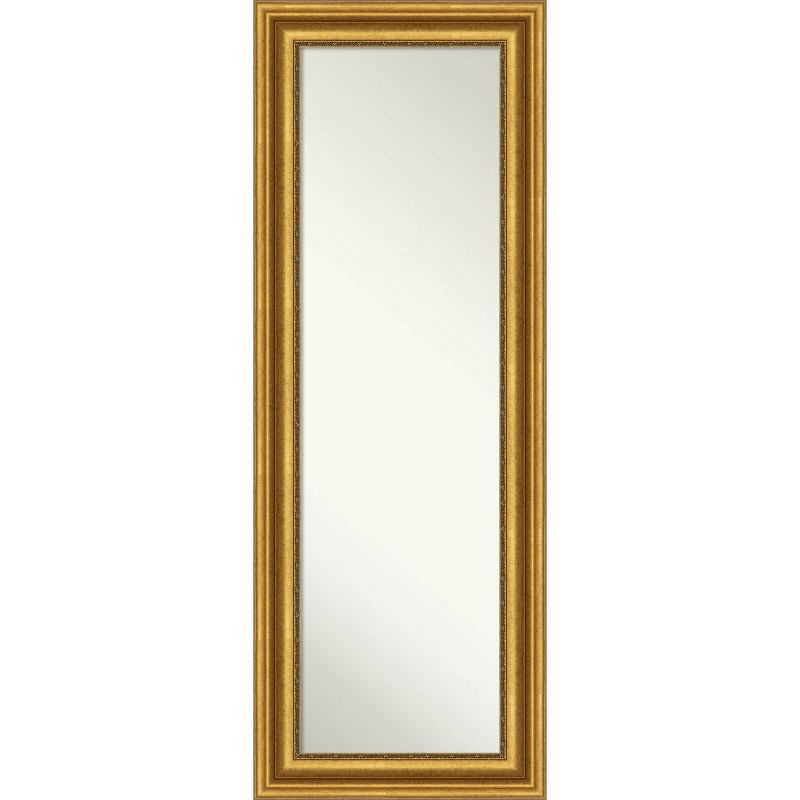 20" x 54" Non-Beveled Parlor Gold Full Length on The Door Mirror - Amanti Art: Includes Hooks, Polystyrene Frame, No Assembly Required