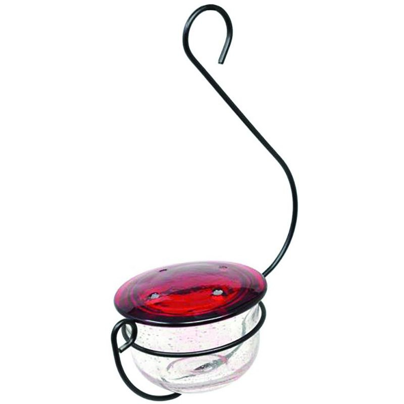 Backyard Essentials Clear Bubble Glass Hanging Hummingbird Feeder - 6 oz