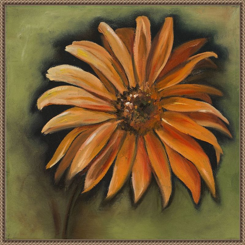 Amanti Art Daisy Collections III by Nelly Arenas Canvas Wall Art Print Framed 22 x 22-in.