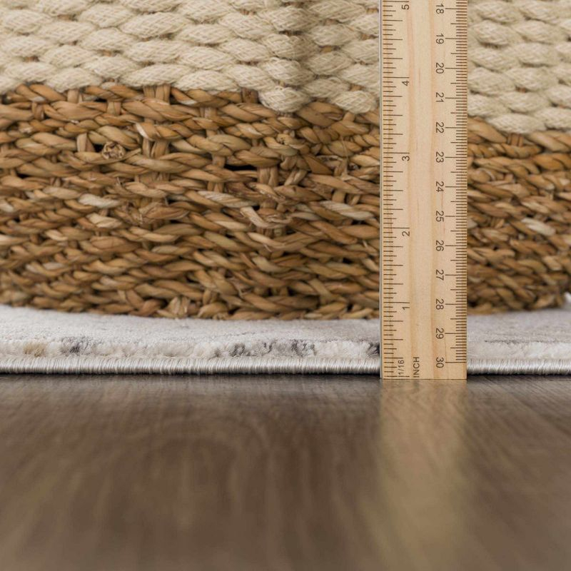 Hauteloom Rectangle Area Rug   Charcoal