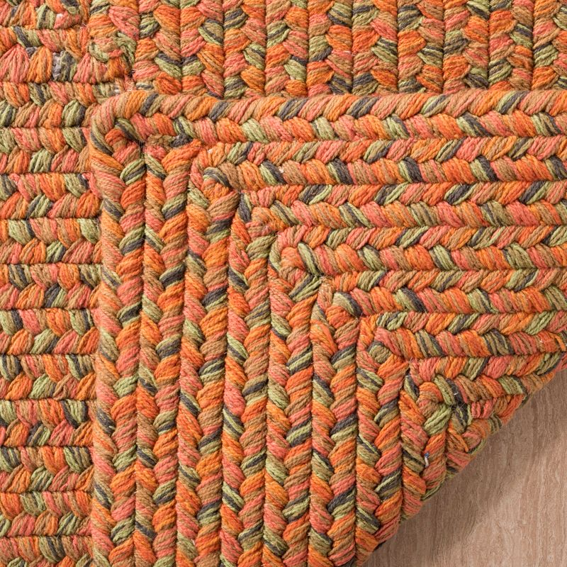 Braided BRD166 Hand Woven Indoor Area Rug - Multi - 8'x10' - Safavieh