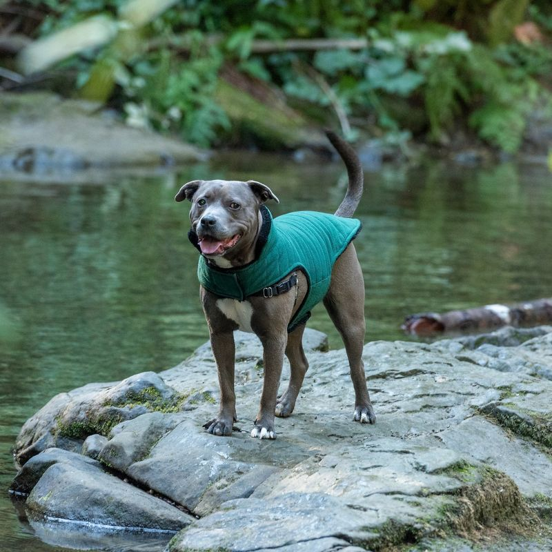 FurHaven Flex-Fit Reversible Plush Faux Fur Dog Coat - Black, Medium