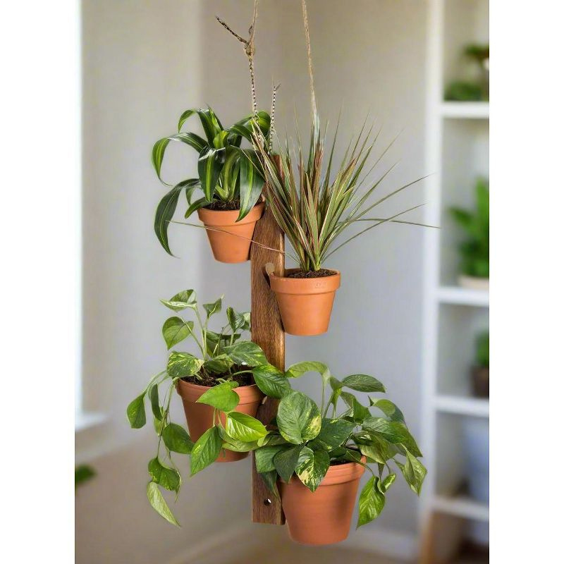 Kalmar Home Solid Acacia wood 4 Pot Hanging Plant Holder with chain