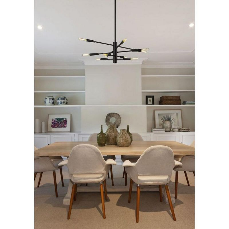 Z-Lite Ascension 10 - Light Chandelier in  Matte Black