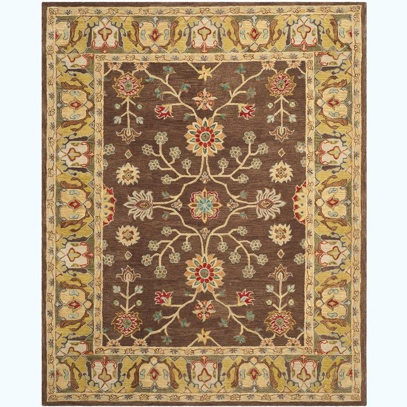 Anatolia AN562 Hand Tufted Indoor Area Rug - Brown/Gold - 9'x12' - Safavieh