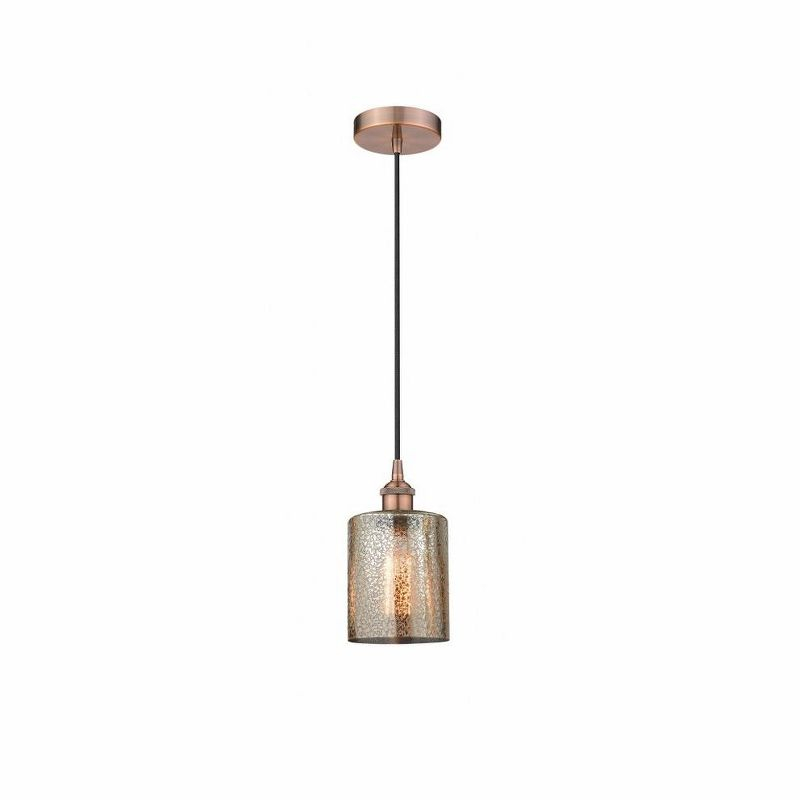 Cobbleskill 1 - Light Single Drop Pendant Pendant