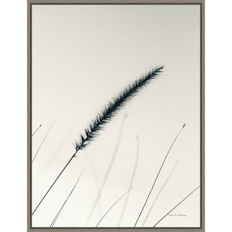 18" x 24" Field Grasses V by Debra Van Swearingen Framed Wall Canvas - Amanti Art: Modern Nature-Inspired Decor