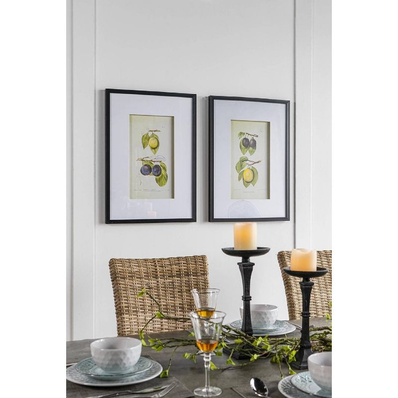 Set of 2 Smithsonian Fruit Framed Wall Arts - A&B Home: Transitional Decor, Vertical Orientation, Includes Mounting Hardware