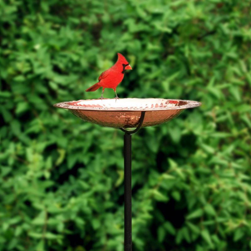 BBG Pure Copper Bird Bath on Garden Pole - Good Directions