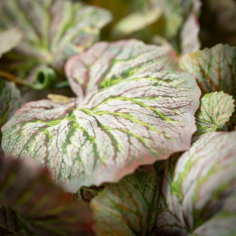 Sullivans Artificial 11.75" Hanging Sage Begonia Bush, Green