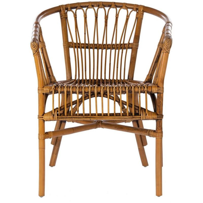 Adriana Rattan Accent Chair - Set of 2 - ACH6505 - Honey Brown Wash - Safavieh